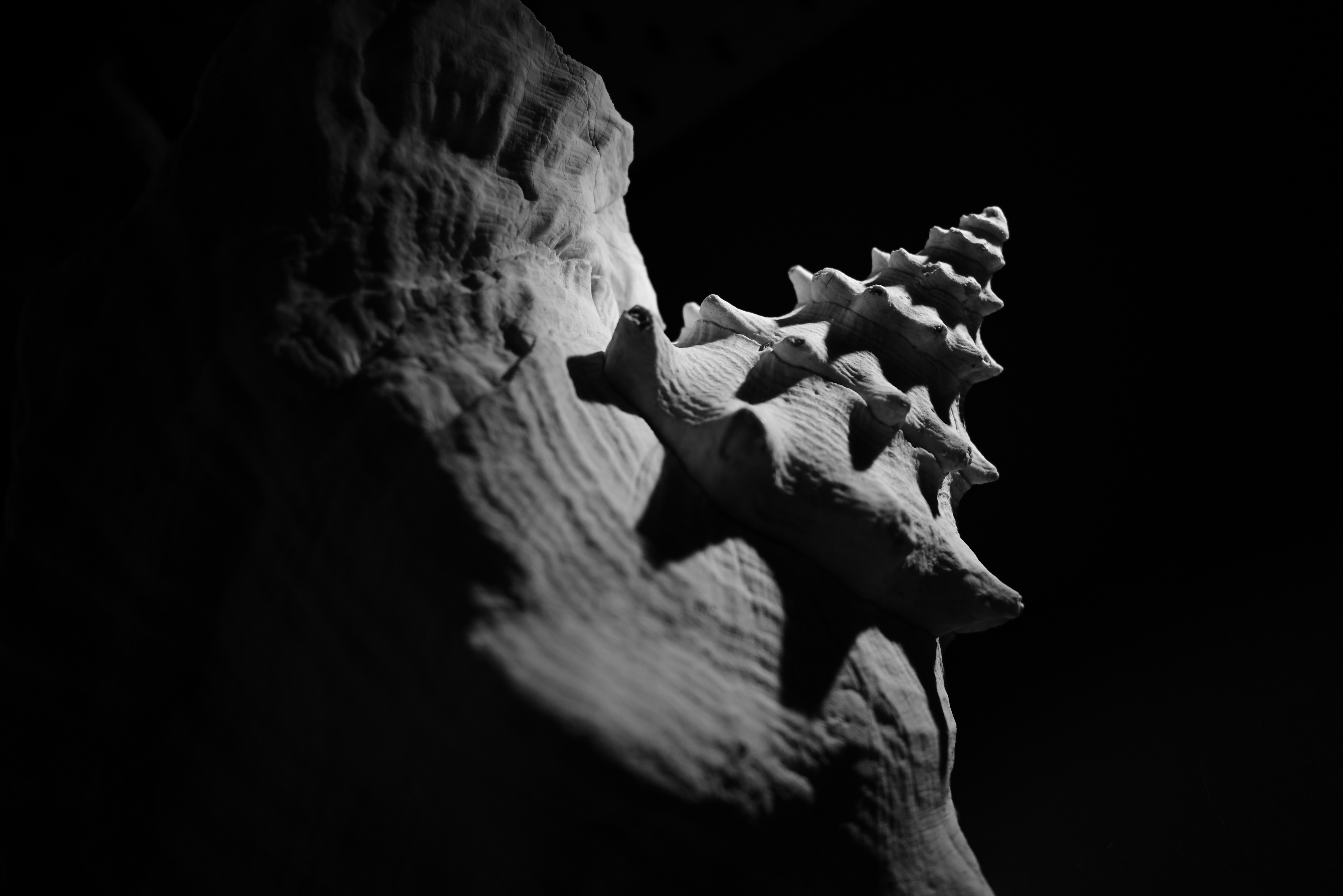 shell 2