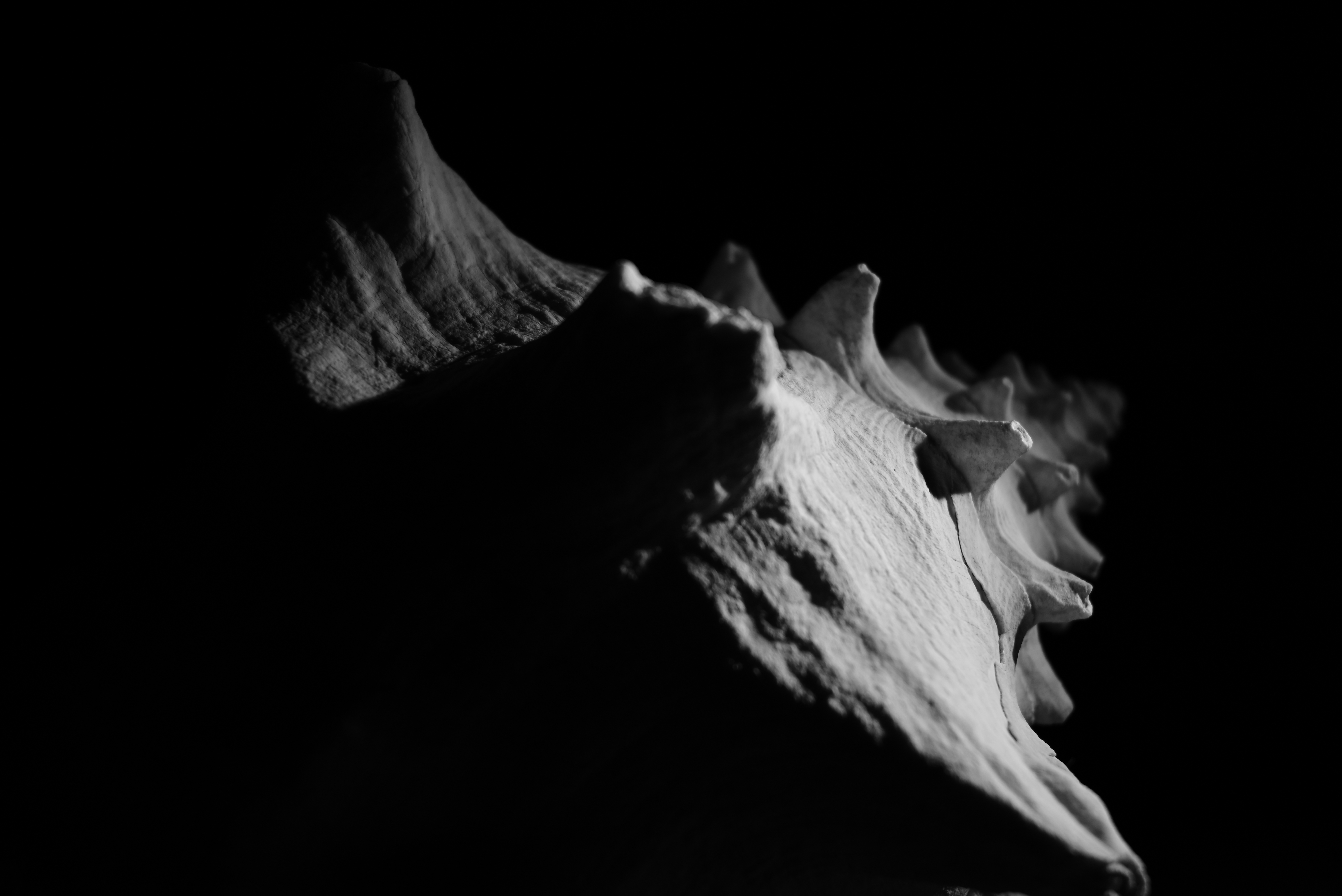 shell 1